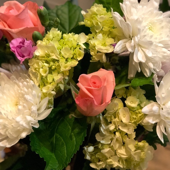 Meet your Posher, Ellie - Picture 1 of 1